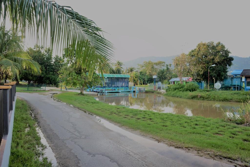 River View Cottage Padang Mat Sirat Esterno foto