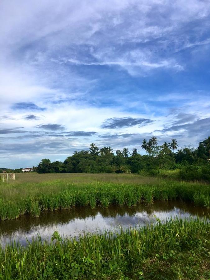 River View Cottage Padang Mat Sirat Esterno foto